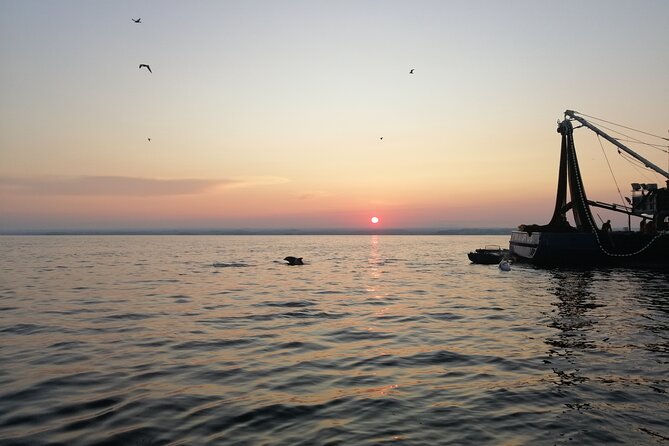 Dolphin Sunrise Adventure with Speedboat - Watching the fishing boats and dolphins