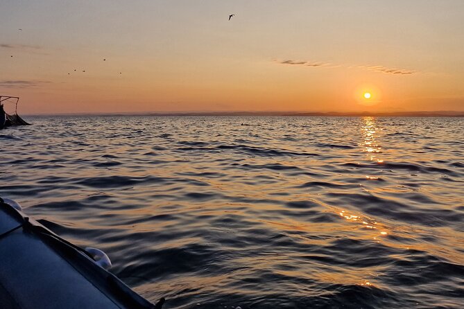 Dolphin Sunrise Adventure with Speedboat - What the guide adds to a short trip