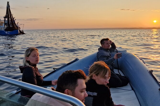 Dolphin Sunrise Adventure with Speedboat - How much value do you get for $42.17?