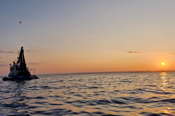 Dolphin Sunrise Adventure with Speedboat - Practical timing and cancellation details