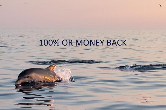 Dolphin Sunset Adventure with Speedboat - Why the sunset timing matters