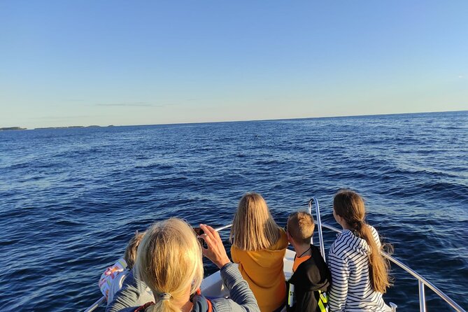 Dolphin Sunset Adventure with Speedboat - What the $30.25 price gets you