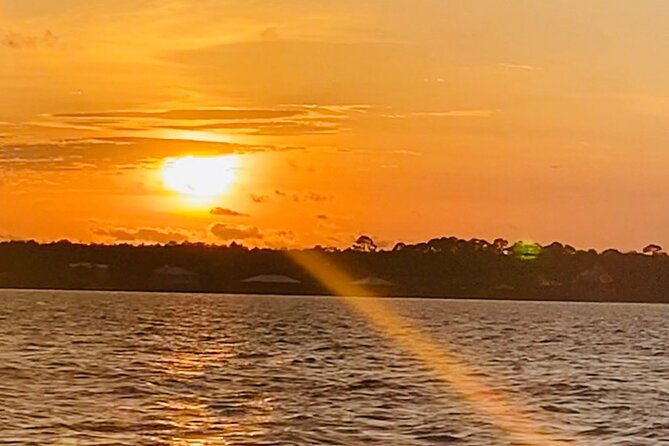 Dolphin Sunset Tour in Orange Beach - Key Points
