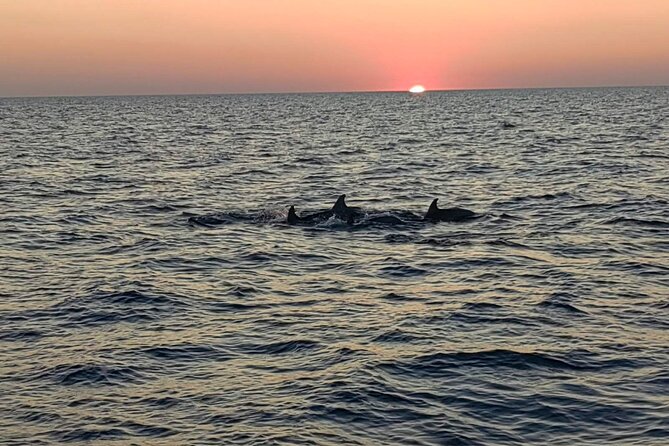 Dolphin & Sunset tour with Brijuni panorama - Sunset views and the return to Pula