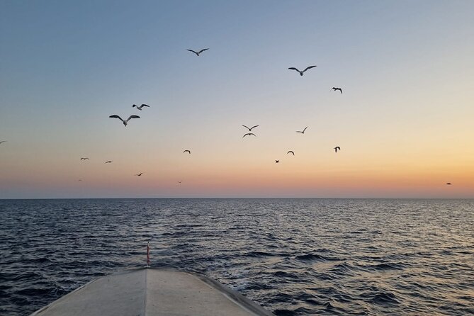 Dolphin & Sunset tour with Brijuni panorama - Price, booking timing, and weather