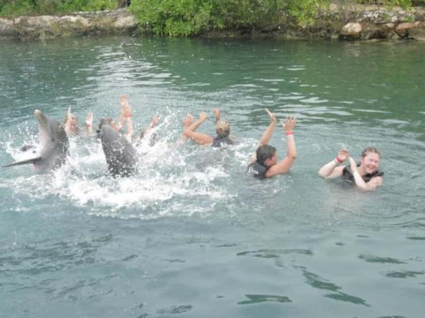 Dolphin Swim Adventure - Key Points at a Glance