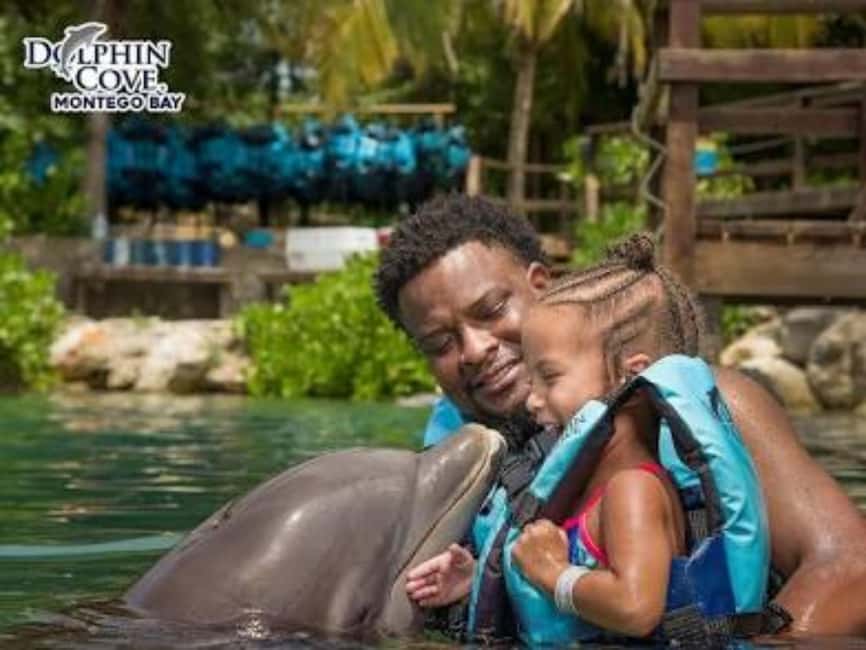 Dolphin Swim Adventure - Private Transport From Your Hotel