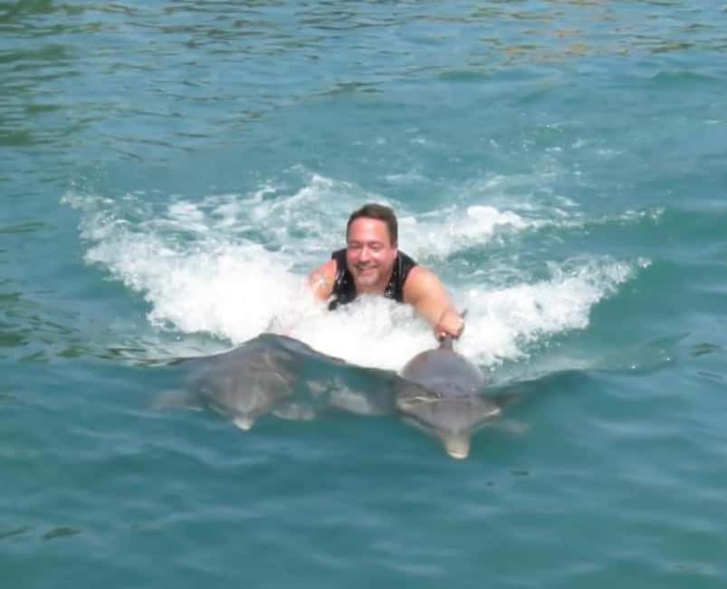 Dolphin Swim Adventure - What Happens During the Water Session