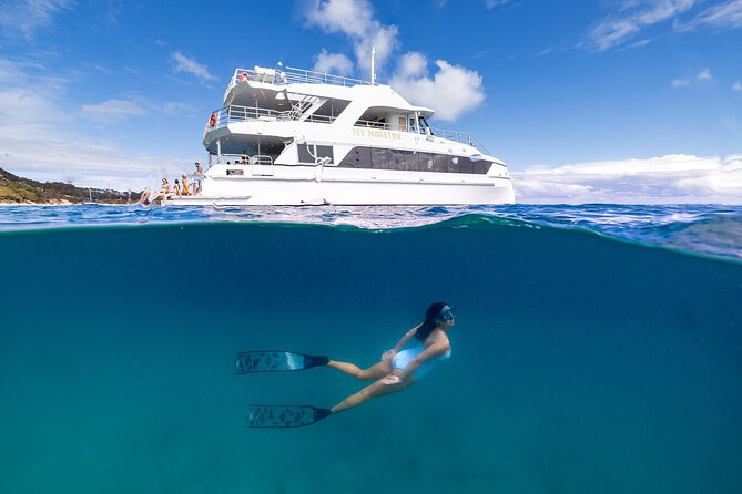 Dolphin & Tangalooma Wrecks Snorkel Cruise & Lunch - Brisbane - From Brisbane to Moreton Island aboard Spirit of Mulgumpin