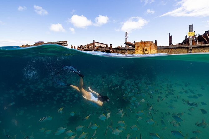 Dolphin & Tangalooma Wrecks Snorkel Cruise & Lunch - Brisbane - Safety, crew service, and group size