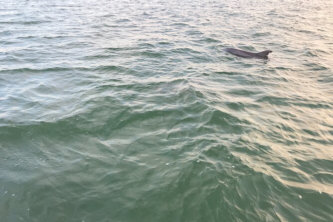 Dolphin Tiki Cruise around Fort Myers Beach - More than a dolphin trip