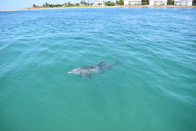 Dolphin Tiki Cruise around Fort Myers Beach - Is $350 a fair price?