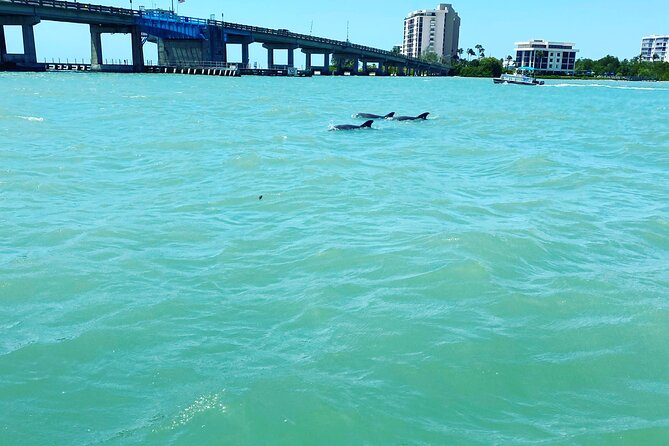 Dolphin Tiki Cruise around Fort Myers Beach - Timing, weather, and cancellation details