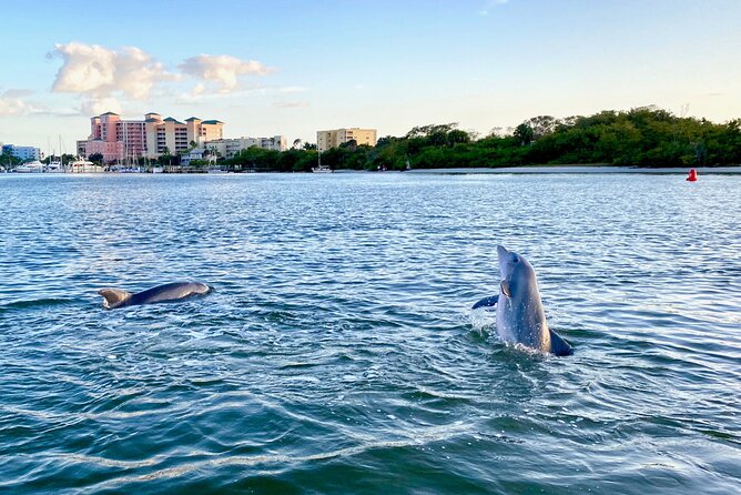 Dolphin Tiki Cruise around Fort Myers Beach - Mangroves and wildlife farther south