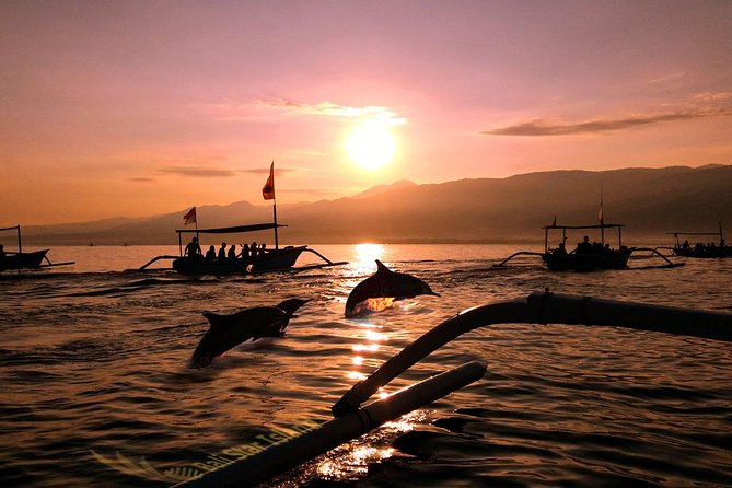 Dolphin Tour and Sunrise Watching in Lovina Beach - All Inclusive - Key points at a glance