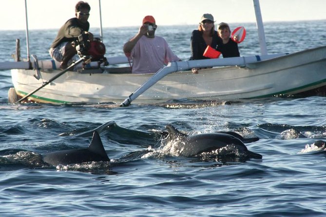 Dolphin Tour and Sunrise Watching in Lovina Beach - All Inclusive - What happens during the Lovina boat trip