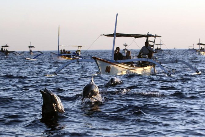 Dolphin Tour and Sunrise Watching in Lovina Beach - All Inclusive - The real cost of the 3 a.m. departure