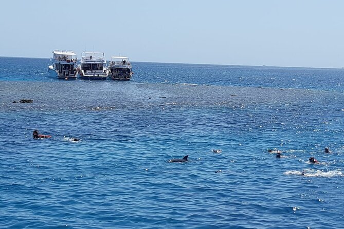 Dolphin Tour Banana Boat from Soma /Sahl Hasheesh/makadi/Safaga - Equipment, safety, and comfort