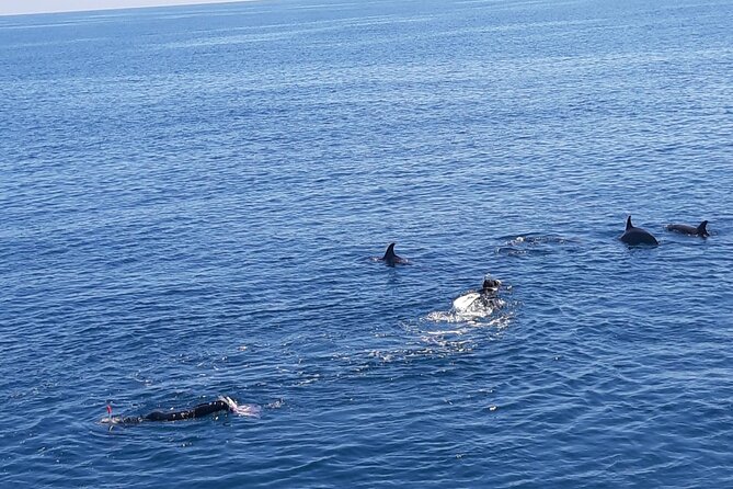 Dolphin tour & banana boat fun with snorkeling from Hurghada - Who should choose this Red Sea day?
