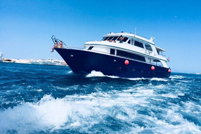 Dolphin Tour in Hurghada - Hotel pickup and the marina start