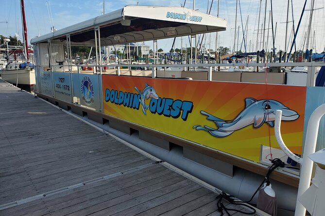 Dolphin Tour in St. Pete Beach - Practical Things to Know Before You Go