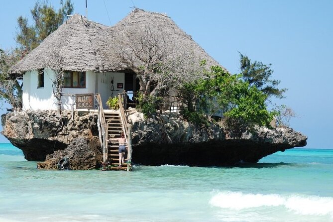 Dolphin tour, Jozani Forest, Jambiani Kuza Cave, Paje Beach &The Rock restaurent - The guide and driver make a big difference