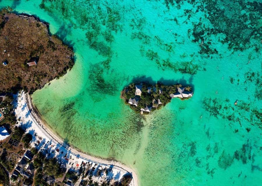 Dolphin Tour, Jozani Forest, Prison Island, Island Pongwe - Languages, flexibility, and booking details