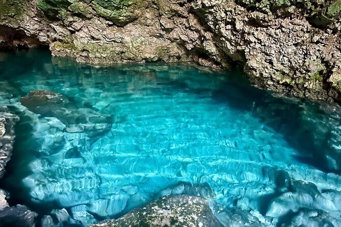 Dolphin Tour; Kuza Cave Tour; Paje Beach; The Rock Restaurant; Jozani Forest - Seafood at The Rock Restaurant