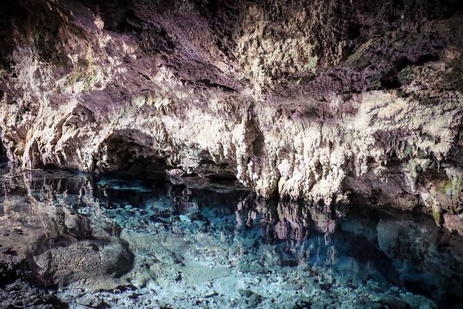 Dolphin Tour; Kuza Cave Tour; Paje Beach; The Rock Restaurant; Jozani Forest - Guides, drivers, and the private format