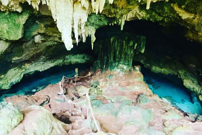 Dolphin Tour; Kuza Cave Tour; Paje Beach; The Rock Restaurant; Jozani Forest - What the $128 price really covers