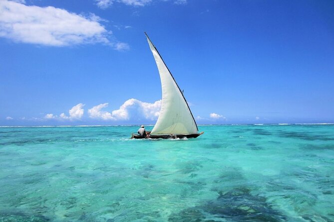 Dolphin Tour & Snorkeling at Mnemba Island - Should you book Dolphin Tour and Snorkeling at Mnemba Island?