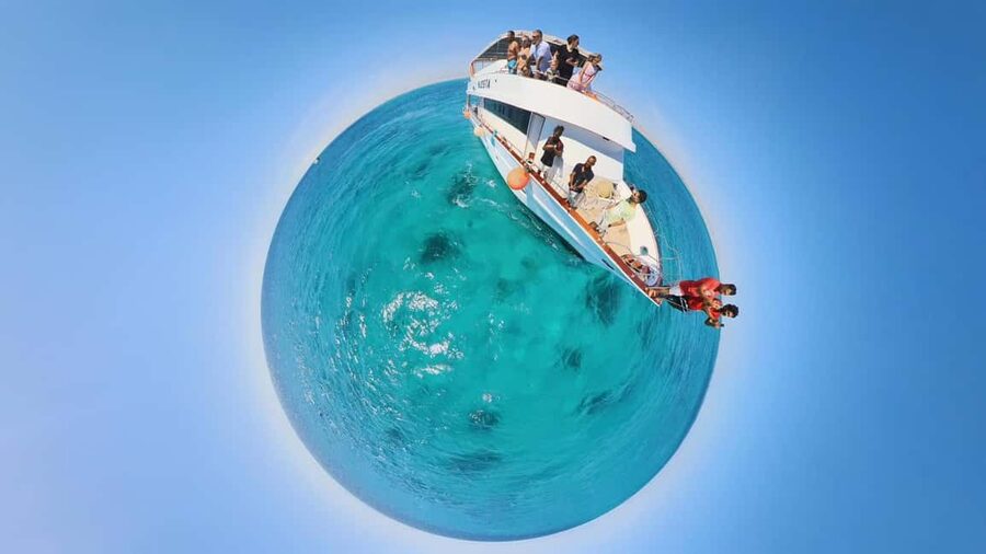 Dolphin Tour with Red Sea Fun. The Best in Hurghada - Setting out from Hilton Plaza at 8:30 a.m.