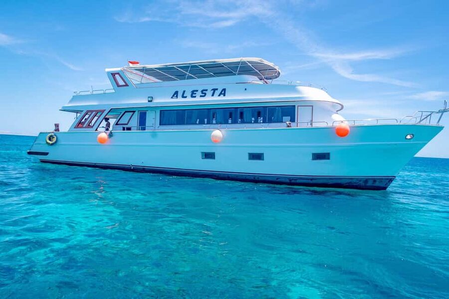 Dolphin Tour with Red Sea Fun. The Best in Hurghada - The dolphin search needs realistic expectations