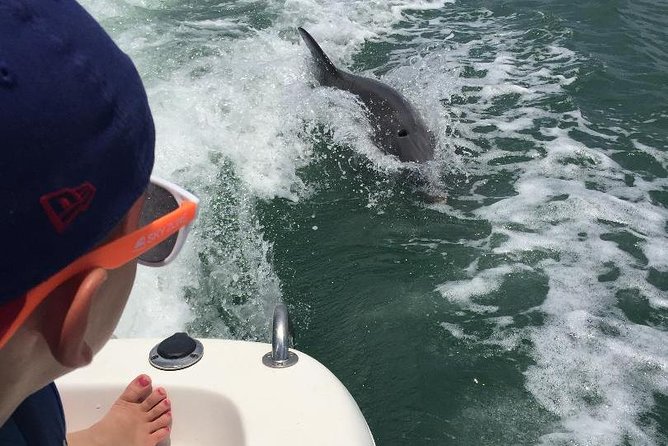 Dolphin Tours - Fort Myers Beach / Naples - Weather, comfort, and practical planning