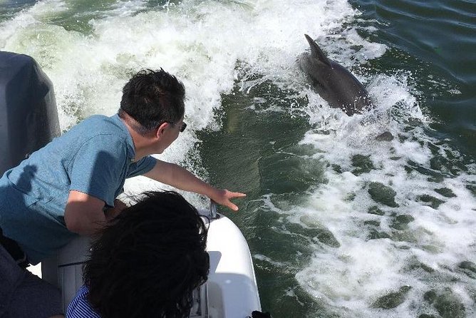 Dolphin Tours - Fort Myers Beach / Naples - Is $350 a fair price?