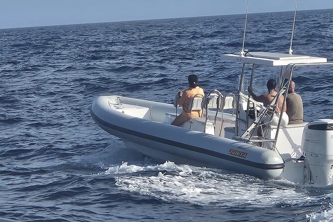 Dolphin Tours in Fuerteventura and snorkeling on the coast - The Coastal Walk and Snorkeling Stop