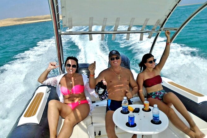 Dolphin trip with private speedboat and snorkeling - Key points at a glance