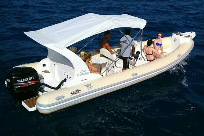 Dolphin trip with private speedboat and snorkeling - Family suitability and swimming confidence