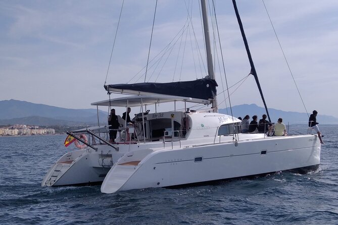 Dolphin trips on a catamaran - Swimming offshore when the sea allows