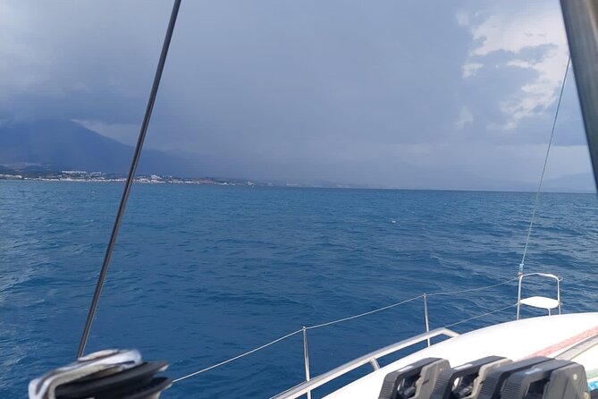 Dolphin trips on a catamaran - What the catamaran experience feels like
