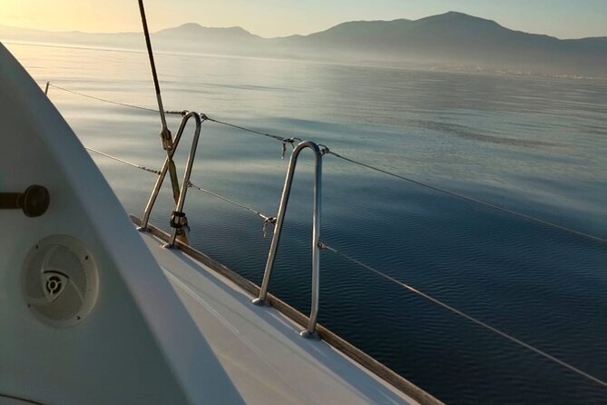 Dolphin trips on a catamaran - Wildlife watching without a guaranteed show