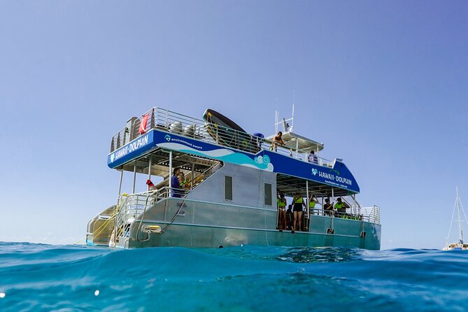 Dolphin Watch Cruise with Waterslide & Snorkeling on Oahu - Key things to know before booking