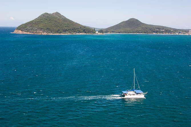 Dolphin Watch + Sailing - Port Stephens - Coffee, commentary, and the value of time on board