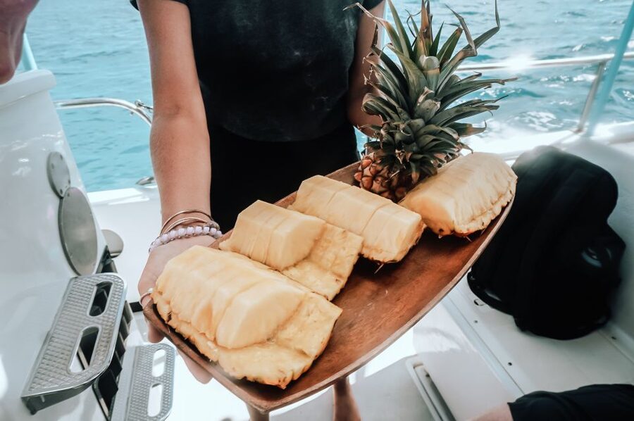 Dolphin Watch Snorkel and BBQ in Kona, Big Island - Two secluded snorkeling stops by boat