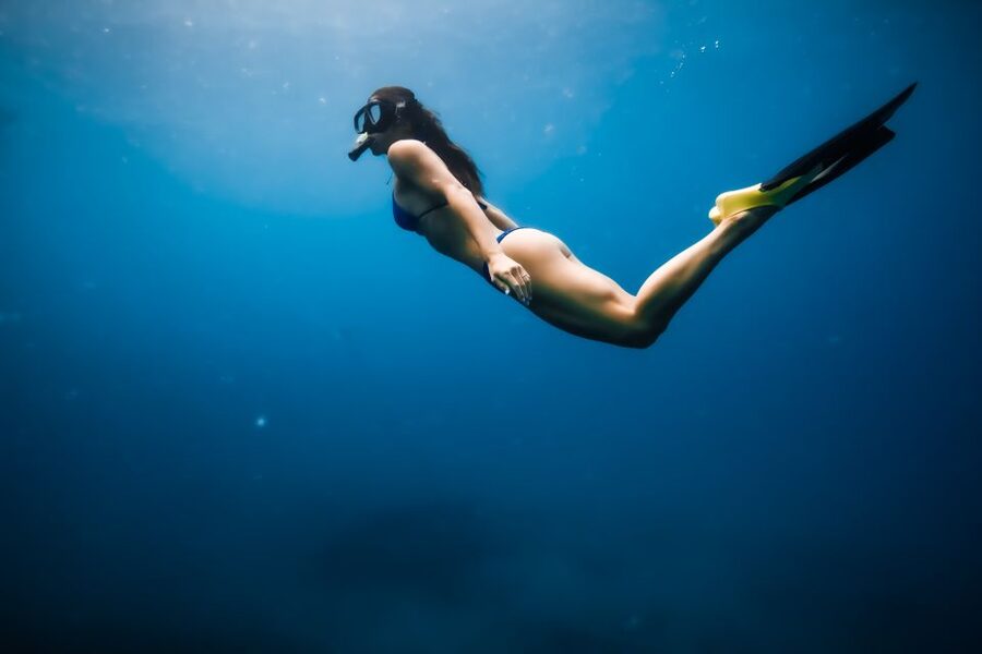 Dolphin Watch Snorkel and BBQ in Kona, Big Island - Wildlife watching along the Kona Coast
