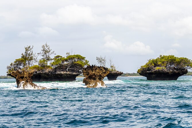 Dolphin Watch & Snorkeling at Kisite Marine Park & Wasini Island - Friendly guiding can make a long day work better
