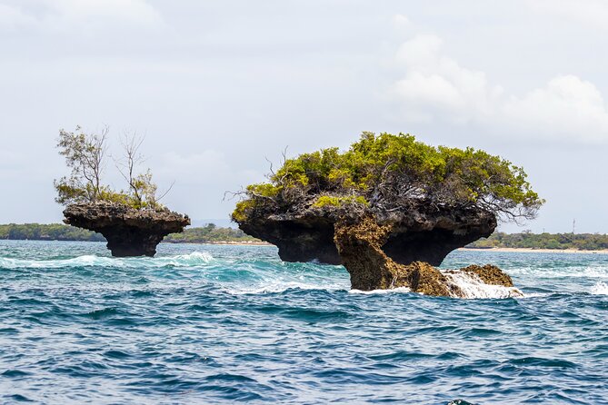 Dolphin Watch & Snorkeling at Kisite Marine Park & Wasini Island - Is $100 a fair price for this full-day trip?