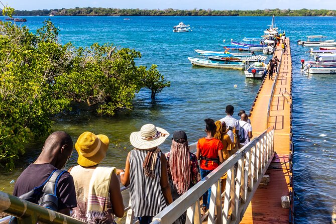 Dolphin Watch & Snorkeling at Kisite Marine Park & Wasini Island - Who should book this Kisite and Wasini outing?