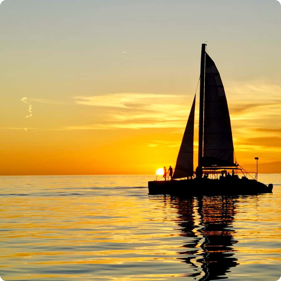 Dolphin Watch + Sunset Sail - Setting Sail From 120 Margaret Street