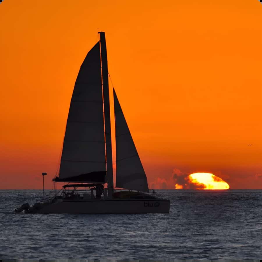 Dolphin Watch + Sunset Sail - Searching for Coastal Atlantic Bottlenose Dolphins